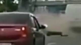 Idiots In Cars \