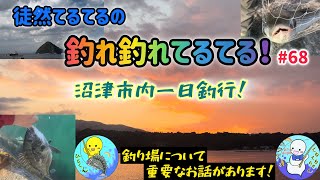 【釣れ釣れてるてる】♯68 沼津市内一日釣行❗️釣り場について重要なお話があります❗️