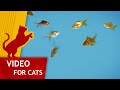 Movie for Cats - 🐟 Shoal of Gold Fish (Video for Cats) 4K