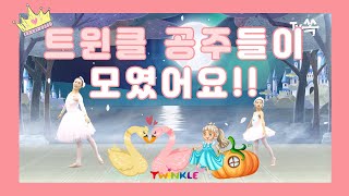 ★☆트윈클 공주들이 모두 모였어요!!!!트윈클발레 인기영상 모음!!