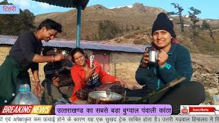 Panwali Kanta bugyal in uttarakhand| देंखे, उत्तराखण्ड का सबसे बड़ा और सुंदर बुग्याल पंवाली कांठा