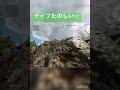 通り魔 【bfv bf5】 shorts bf5 bfv