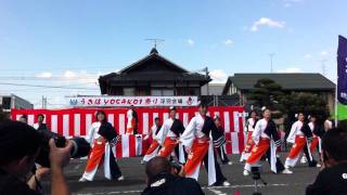 浮羽よさこい祭り　新煽組