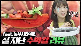 수박 쉽게썰려다 멜론🍈 사과🍎 다 부셔 버리는 영상💣💥 여름 지나서 올리는 수박 칼 리뷰🍉 [뽐뽐뽐 뽀미 / BBOM BBOM BBOM]