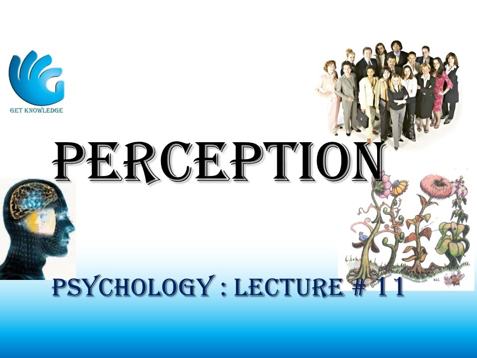 Sensation And Perception Psychology Lecture 11 Youtube