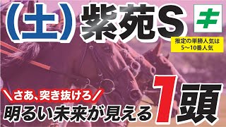 紫苑ステークス2022 【予想/穴馬】春の実績馬？それとも夏の上がり馬？明るい未来が見える穴馬を１頭ご紹介！