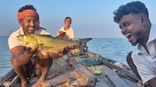 অনেকদিন পর আবার গুরজালি মাছের দেখা পেলাম,সাথে জাল টেনে  প্রচুর চিংড়ি মাছ ধরলাম part 2 !!!