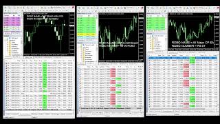 forexROBOtrading5 Live Stream