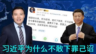 🔴 任泽平曲线发问：习近平为什么不下罪己诏？