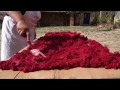 How to Make Tomato Paste in Sicily