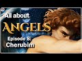 What are the Cherubim???