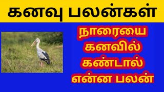 நாரையை கனவில் கண்டால் என்ன பலன் l What is the benefit of seeing a stork in a dream l naarai kanavu