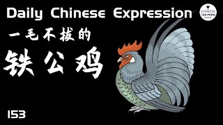 一毛不拔的“铁公鸡”。「铁公鸡 (HSK5)」 Daily Chinese Expression 153 大鹏说中文