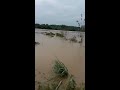 viral baru kali cisadane temanggungan rumpin banjir 3x lipat