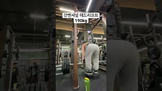 체중 2.5배 들기 #deadlift #shorts