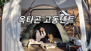 설치가 쉬운 원터치텐트의 매력~!|쏘렌토차박|압력밥솥에 백숙 해먹기|강화도 아침캠핑장|옥타곤 고동텐트|