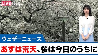 あすは荒天、今日のうちに桜堪能