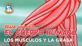 Erase Una Vez... El Cuerpo Humano - Los músculos y la grasa