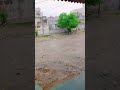 khoob jamke hoi barish jaipur ke andar ankaj 1k