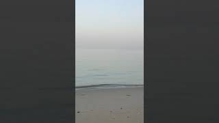 குவைத் கடற்கரை /Kuwait Beach/Mahaboula / நான் உங்கள் குவைத் த‌மிழ‌ன்