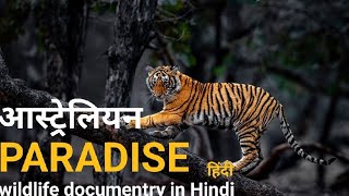 The Australian Paradise - हिंदी डॉक्यूमेंट्री ! Australia wildlife documentry in Hindi
