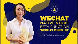 WeChat Launched NEW Mini (Native) Store Function in Beta Testing!