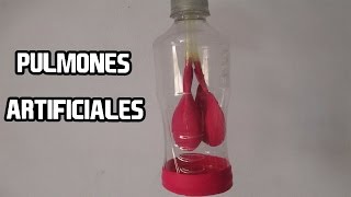 How To Make Lungs With Bottles