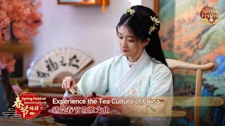 Spring Festival Special: Experience the tea culture of China