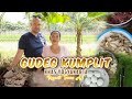 Bapak bule masak Gudeg Komplit khas Yogyakarta (Request Teman AJ)