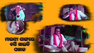 ମାଉସୀ ନା ମଇଁଷି 🤣😆🤣 || Tukuna stylish comedy || #odiacomedy  #funny #comedy #viralvideo