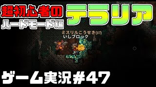 Switch　スイッチ版　【テラリア】　ゲーム実況＃４７　初心者　ハードモード編