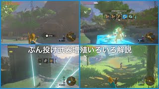 ゼルダ 増殖バグ ゼルダ 増殖バグ