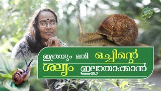 ഇത്രയും മതി ഒച്ചിൻ്റെ ശല്യം ഇല്ലാതാക്കാൻ  |To Prevent Slugs and Snails | Tips \u0026 Trick | Prs Kitchen