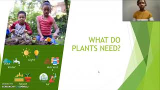 Kindergarten Science - What Plants Need