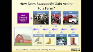 Salmonella risk: An interview with Gary Neubauer