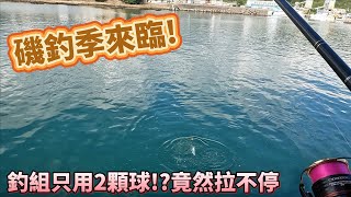 【獵獵釣魚】磯釣季來臨!竟然浮標用兩顆浮球大爆釣??#釣魚#磯釣#阿達利