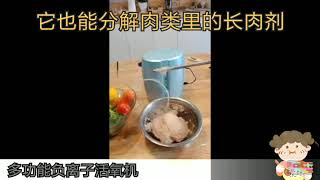 BUFFALO -IONIC PURIFIER 牛头牌-多功能负离子活氧机