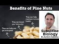 Benefits of pine nuts.