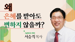 [두란노] 날마다 보고 듣는 것이 삶을 바꾼다 ㅣ〈날마다〉