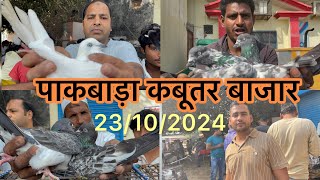 पाकबड़ा कबूतर बजार Pakwara Kabootar bajar 23/0/2024