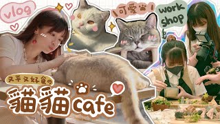 VLOG 🌈又平又好食嘅貓貓cafe！同蛙妹一齊去做盆景workshop🪴+打邊爐 日常【放假去邊好？】｜肥蛙 mandies kwok