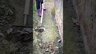 cool shovel for cleaning dirt and moss #shorts