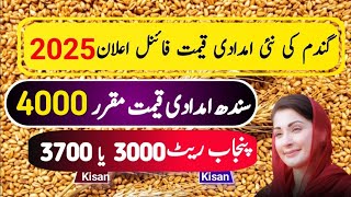 Munji rates 2024 /Gundam rate 2025 /Makki /Wheat Support Price 2025 گندم کی امدادی قیمت فائنل اعلان/