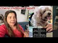 Cherry 2nd Blood Report agae😮Health update sambhavna seth entertainment sambhavna seth new vlog