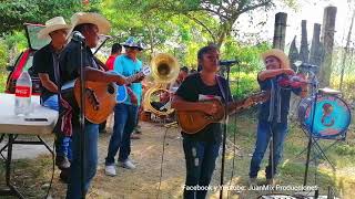 El caballito con el Trio Suspiro Huasteco. En San Juan Otontepec Julio 2021