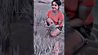 amar palha jage ayee // new sambalpuri short video#sanjayjsgofficial