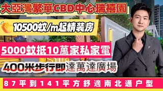 大亞灣繁華CBD中心|瑞禧園|10500蚊/m起精装房|限時送家電家私|400米萬達廣場步行十分鐘東聯市場|門回700米巴士直達沙田地鐵|87平到141平方舒適南北通户型#惠州房產 #惠州房價 #惠州