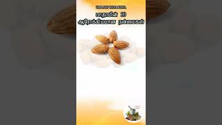 பாதாமின் 10  ஆரோக்கியமான நன்மைகள்  Top 10 Health Benefits Of Soaked Almonds Tamil | Badam in Tamil