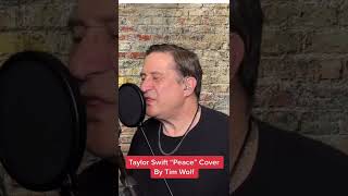 Taylor Swift "Peace" Cover by Tim Wolf 2