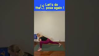 LaPoseYoga Vinyasa Flow Lizard Pose